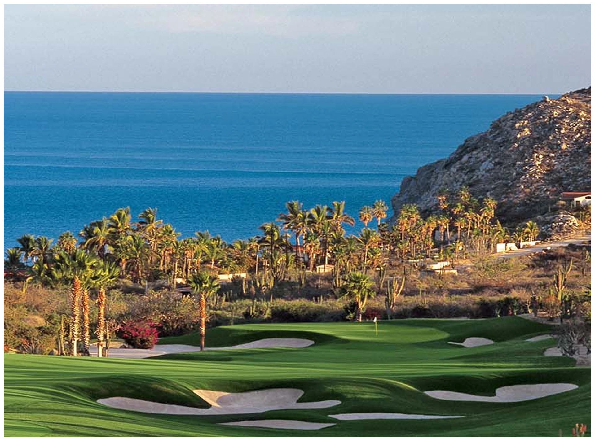 Golf course with ocean and palm trees.
